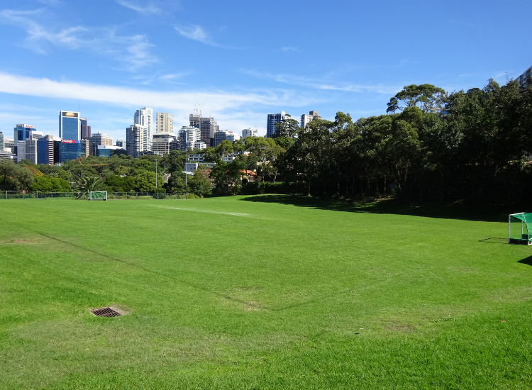 open field with trees and buildings in the distance
