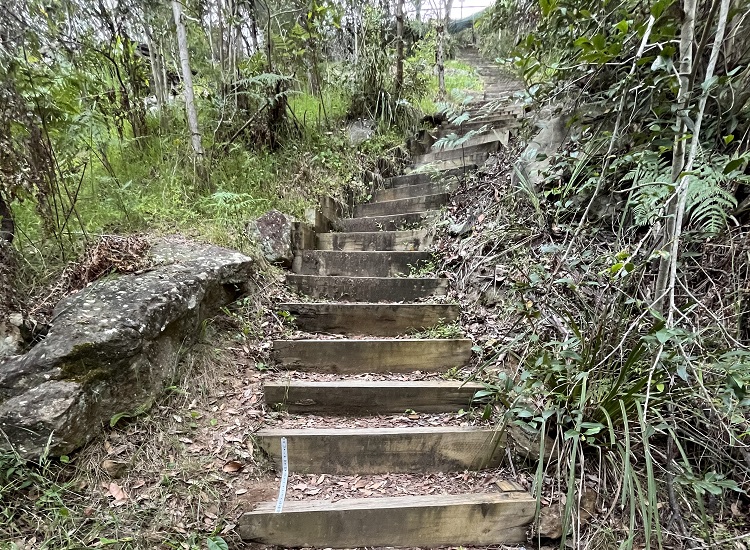 A view of stairs leading upwards on a bushland track